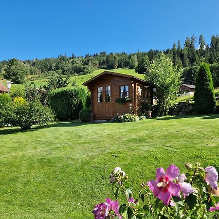 Appartement Bergtraeume Хаус-им-Энншталь Экстерьер фото
