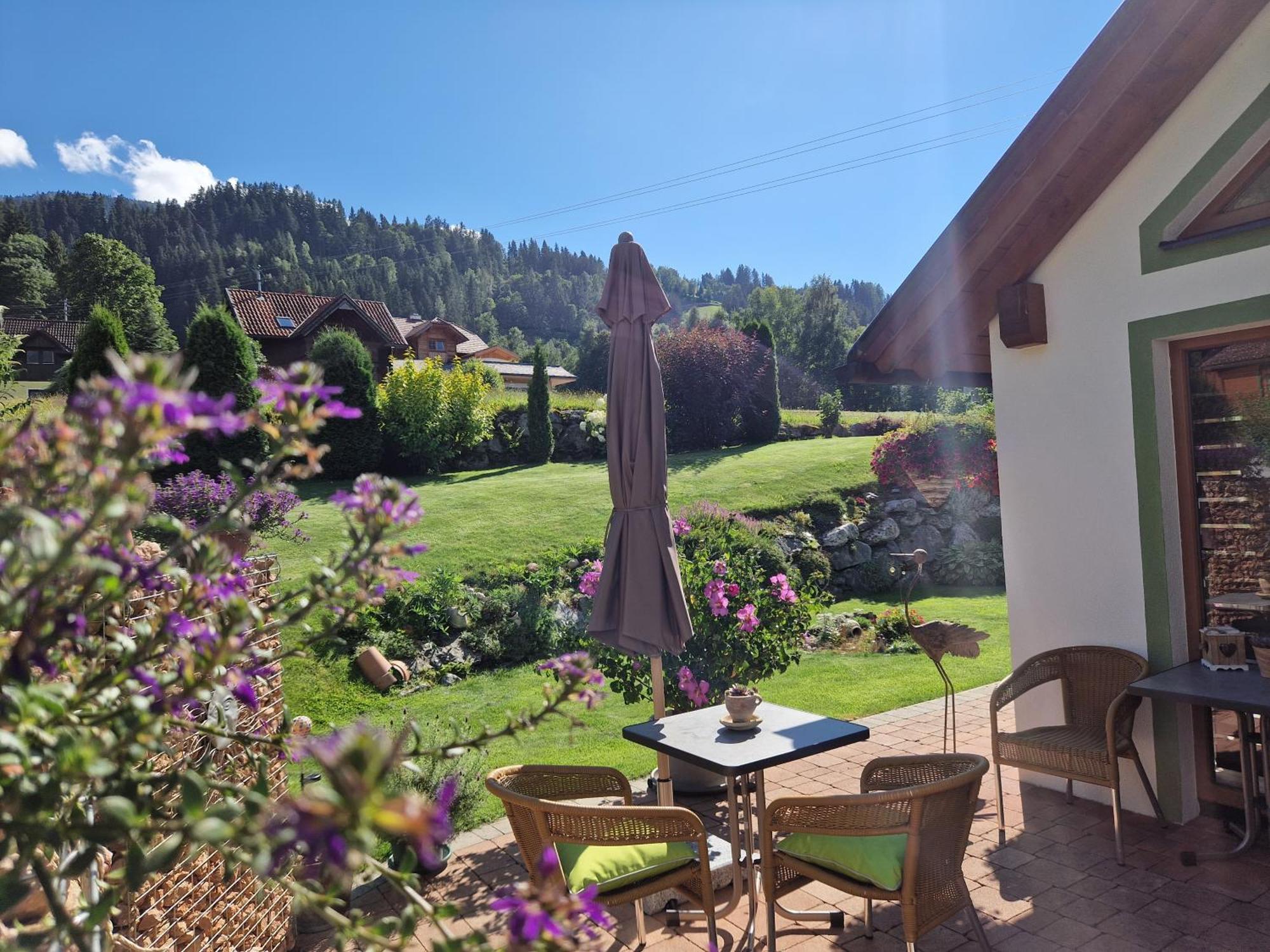 Appartement Bergtraeume Хаус-им-Энншталь Экстерьер фото