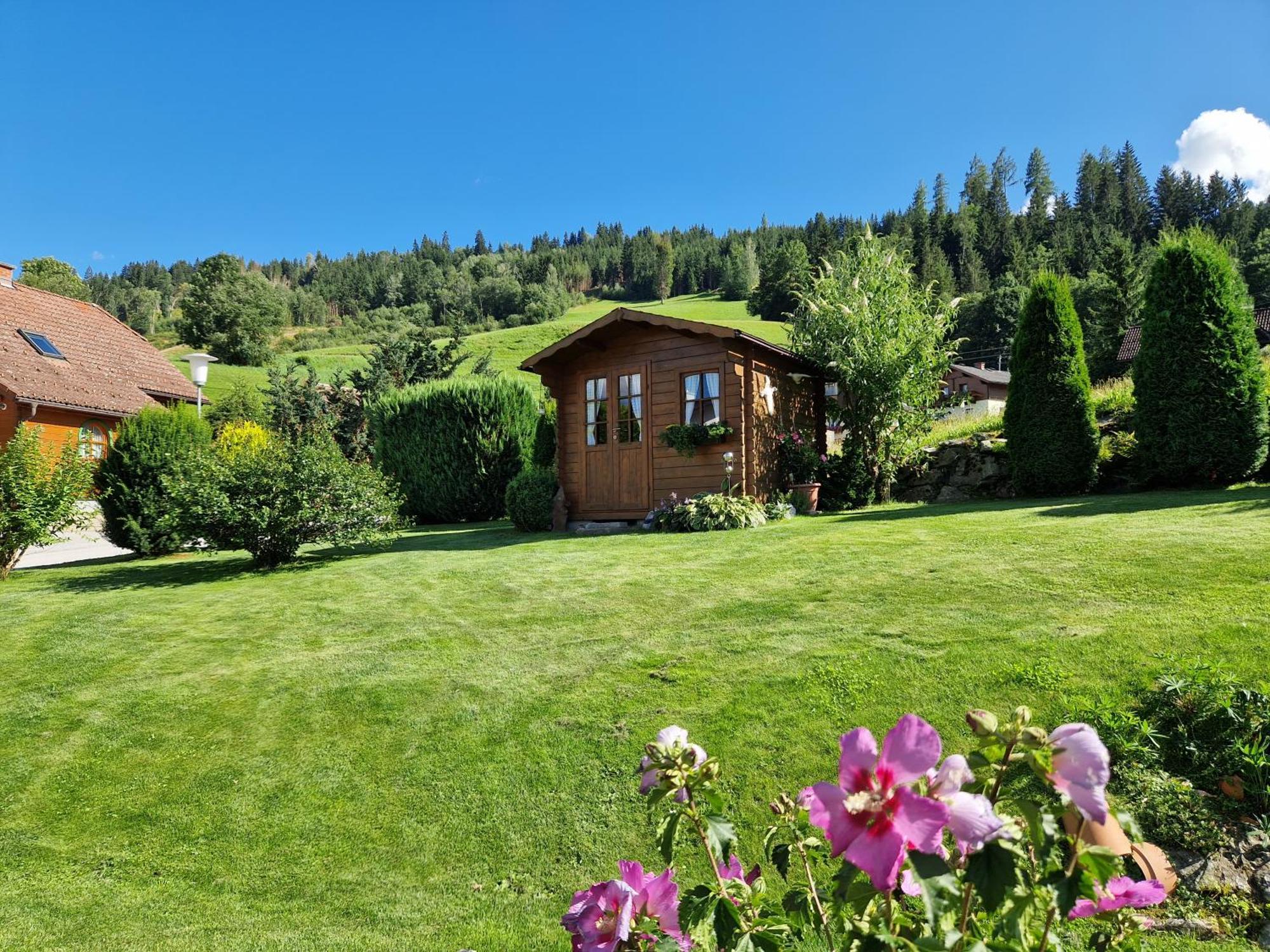 Appartement Bergtraeume Хаус-им-Энншталь Экстерьер фото